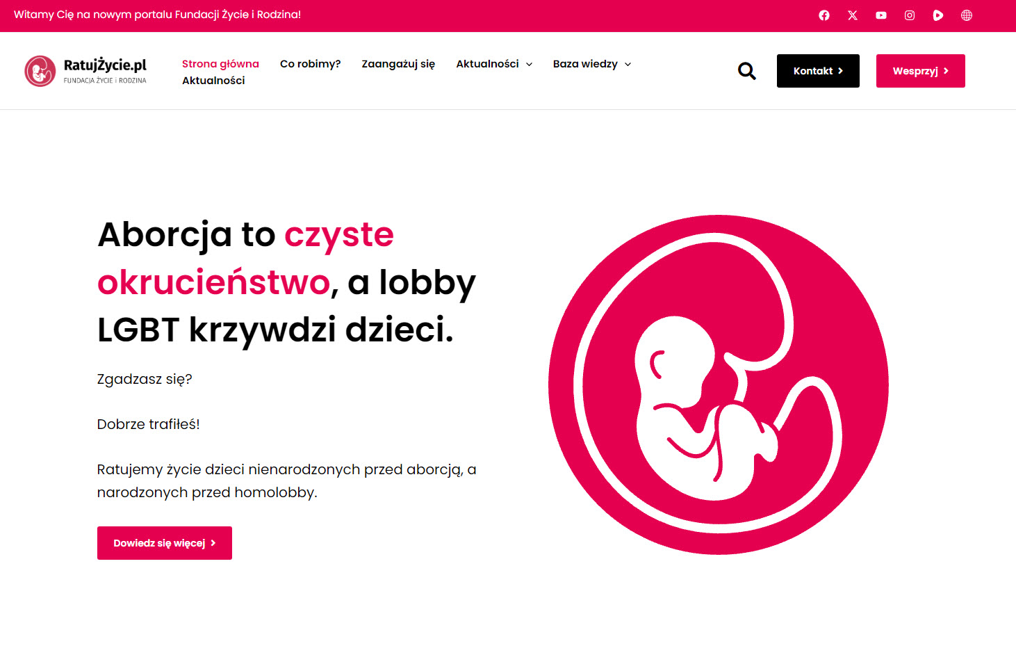 Jak działa fundacja pro-life i na czym polegają jej najważniejsze obszary aktywności?