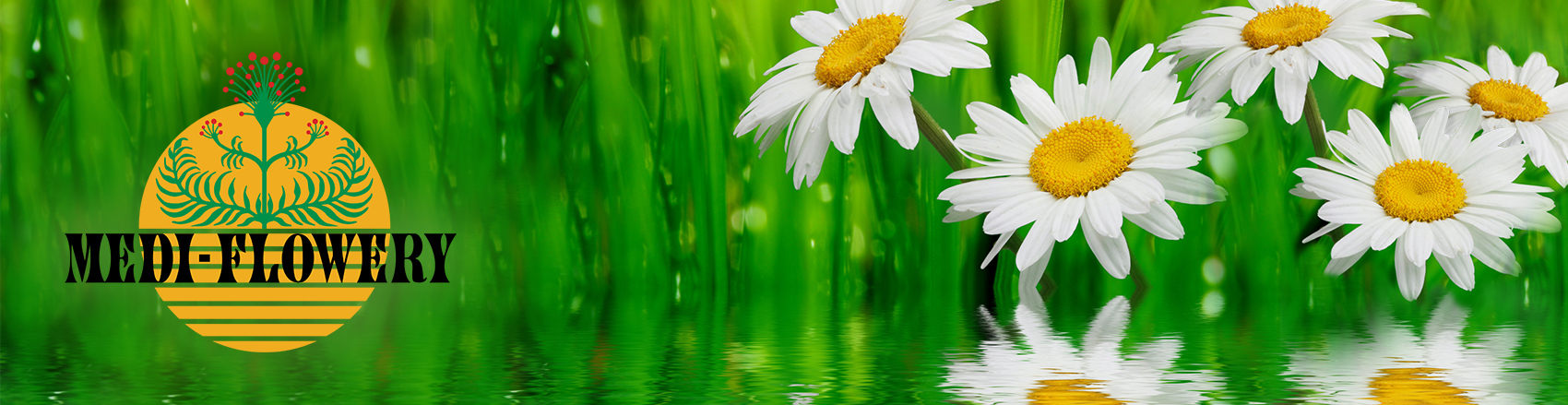 Logo firmy Medi-Flowery