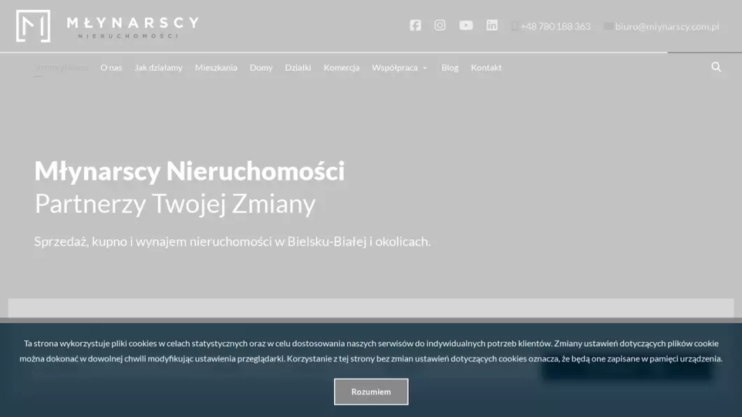 Zrzut ekranu strony